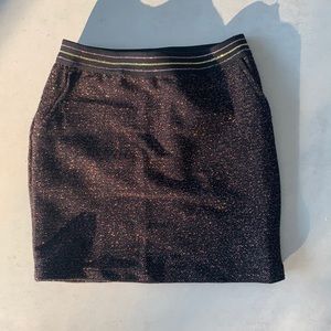 Sparkly Sequins Skirt